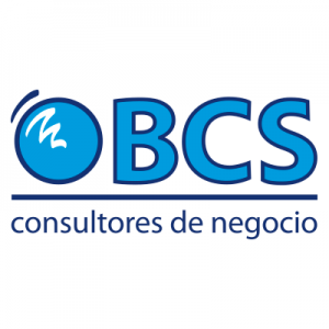 BCS Consultores